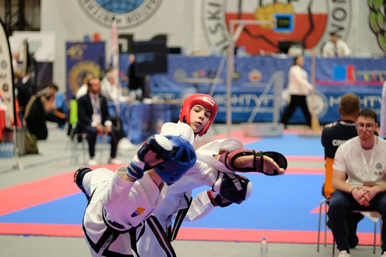 Mistrzostwa Europy w Taekwondo