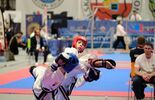 Mistrzostwa Europy w Taekwondo (zdjęcie 2)