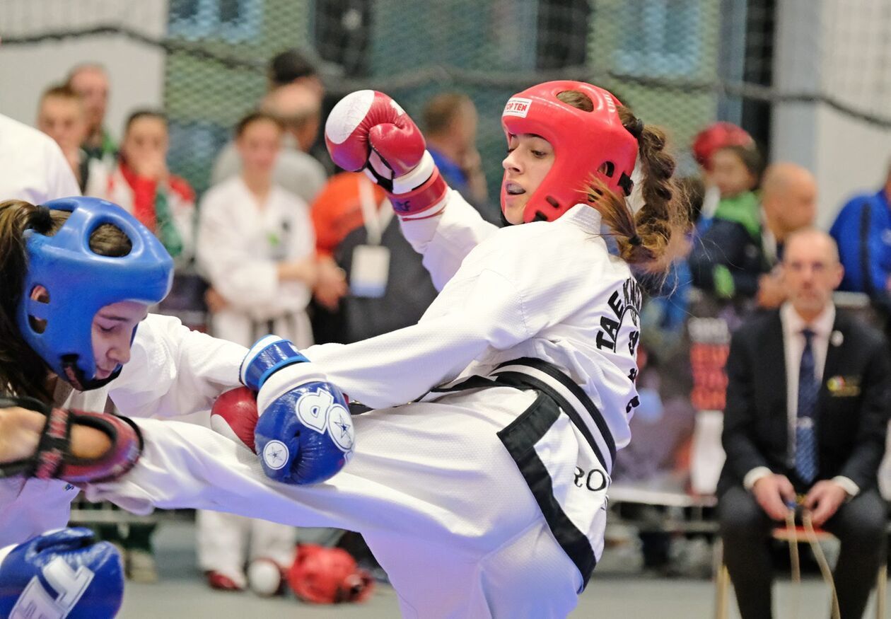  Mistrzostwa Europy w Taekwondo (zdjęcie 9) - Autor: DW
