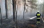 Pożar lasu w Wiskach. Gmina Tuczna  (zdjęcie 4)