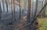 Pożar lasu w Wiskach. Gmina Tuczna  (zdjęcie 2)