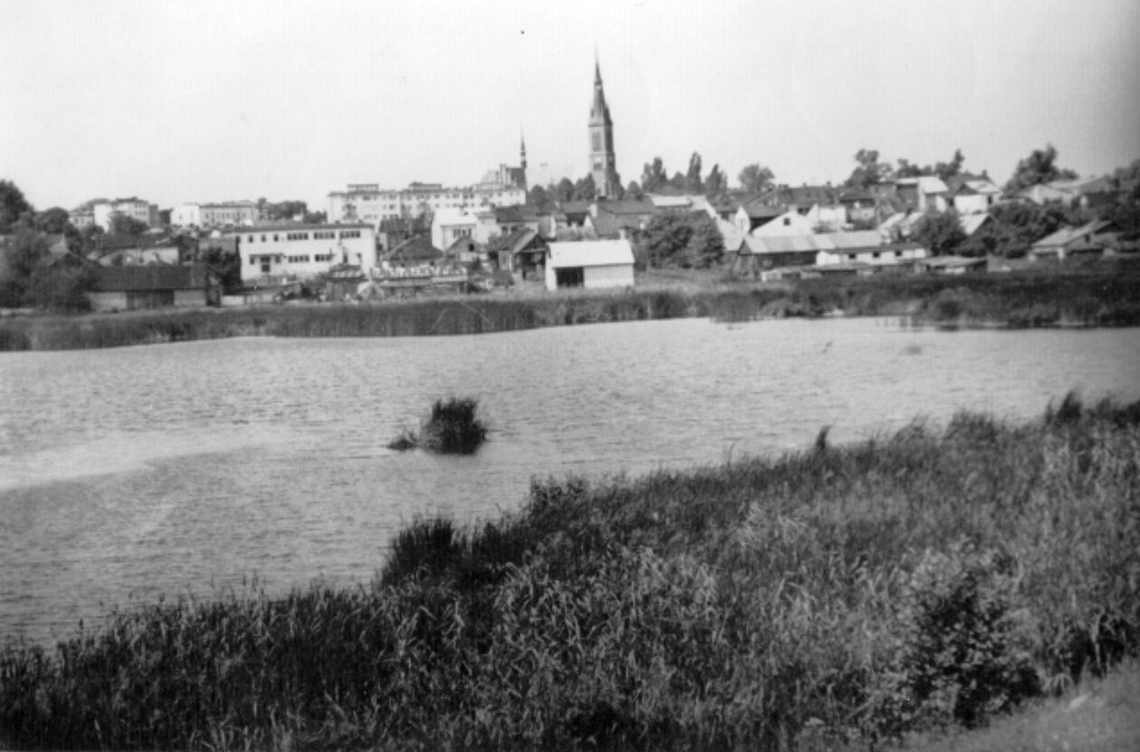 <p>1973 r. Panorama miasta Ryki znad stawu Buksa.</p>