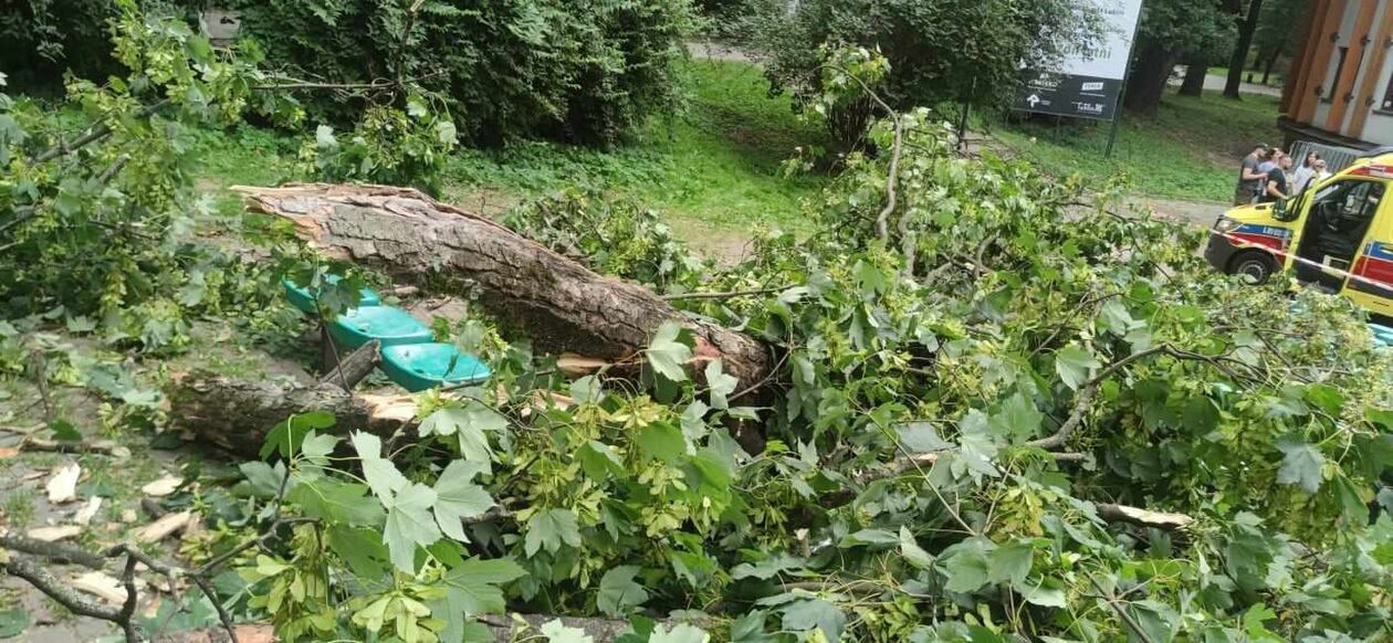  Konar drzewa spadł na nastolatki w Ogrodzie Saskim  (zdjęcie 10) - Autor: KM PSP w Lublinie