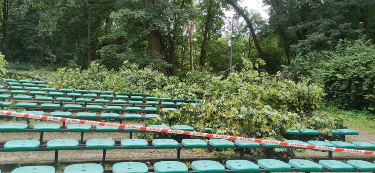 Konar drzewa spadł na nastolatki w Ogrodzie Saskim  - Autor: KM PSP w Lublinie