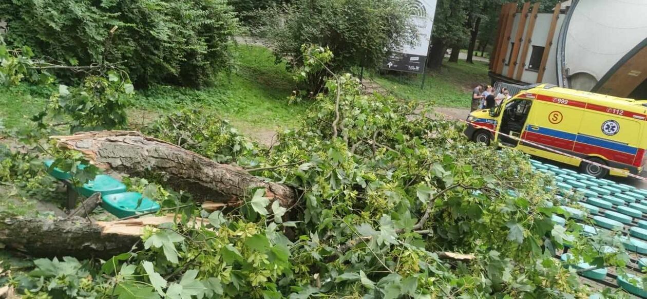  Konar drzewa spadł na nastolatki w Ogrodzie Saskim  (zdjęcie 6) - Autor: KM PSP w Lublinie