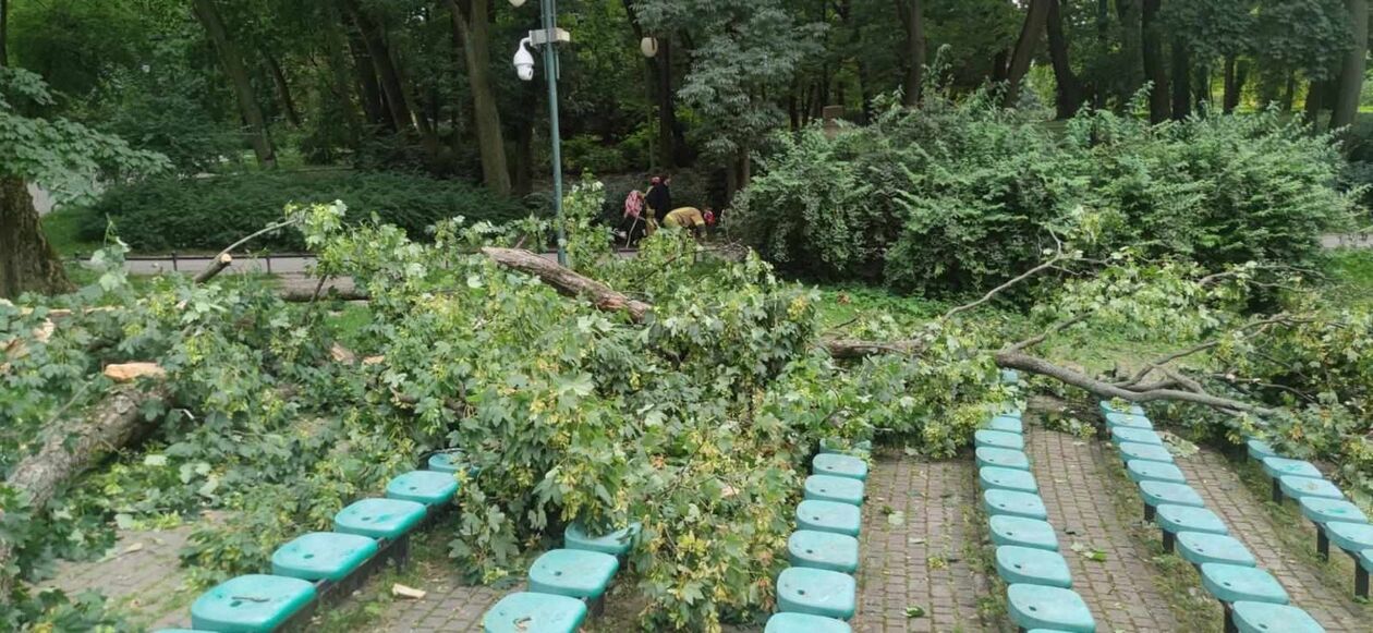  Konar drzewa spadł na nastolatki w Ogrodzie Saskim  (zdjęcie 4) - Autor: KM PSP w Lublinie