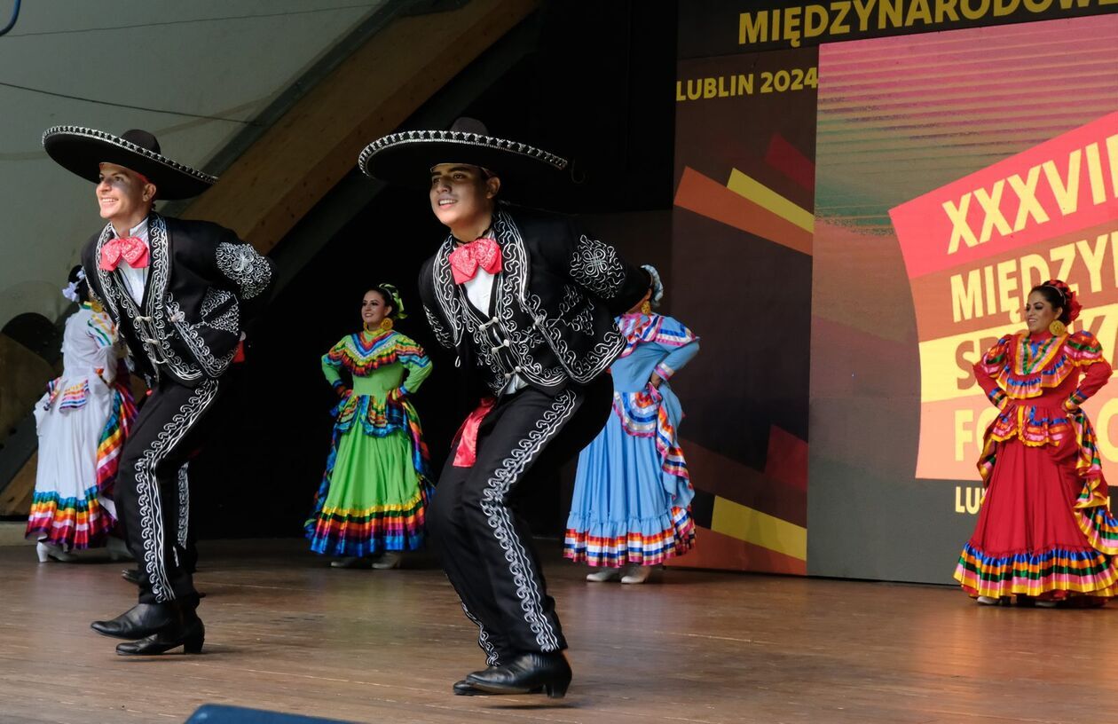  38. Międzynarodowe Spotkania Folklorystyczne: koncert galowy w Ogrodzie Saskim (zdjęcie 19) - Autor: DW