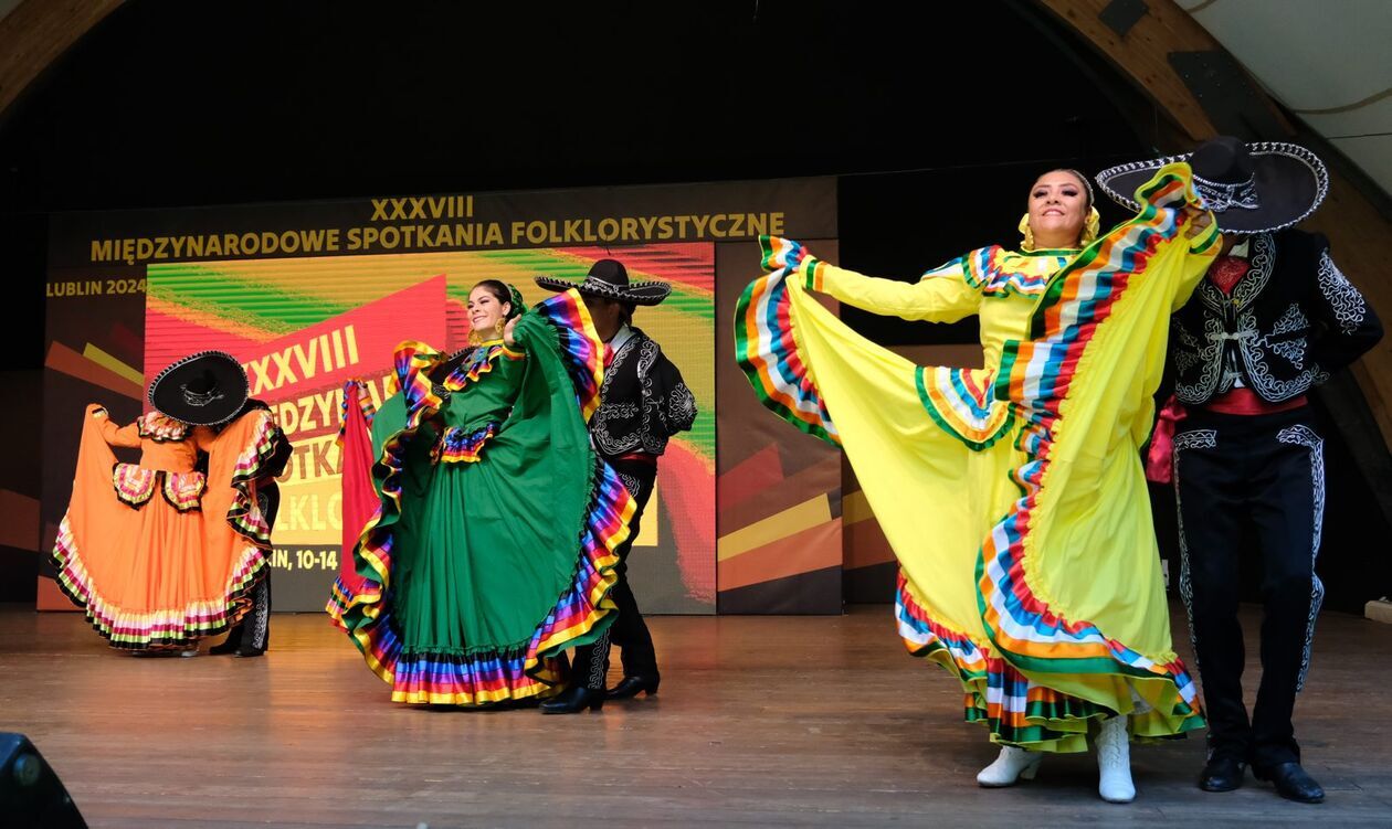  38. Międzynarodowe Spotkania Folklorystyczne: koncert galowy w Ogrodzie Saskim (zdjęcie 18) - Autor: DW