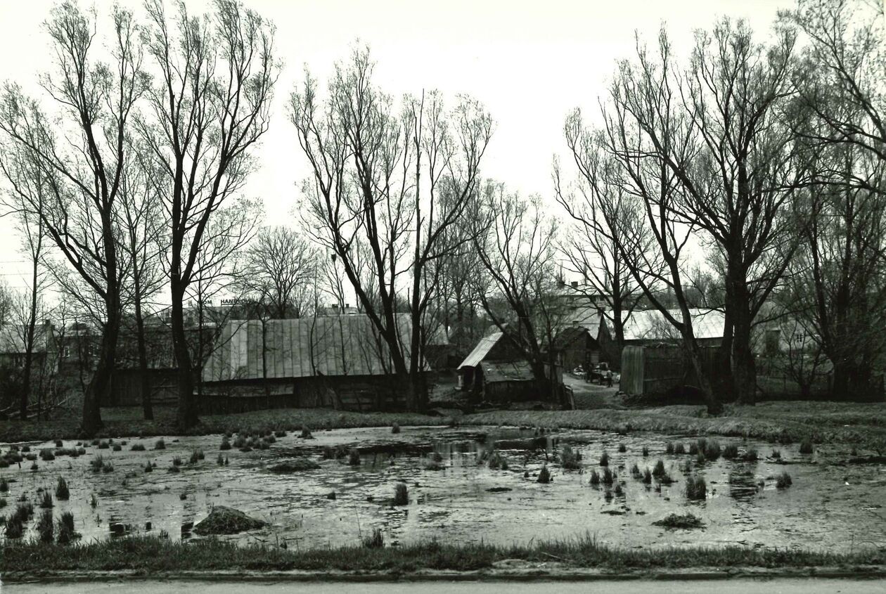  <p>ul. Doktora Grażewicza, rozlewisko rzeczki Krężniczanki &ndash; obecnie staw miejski.</p>