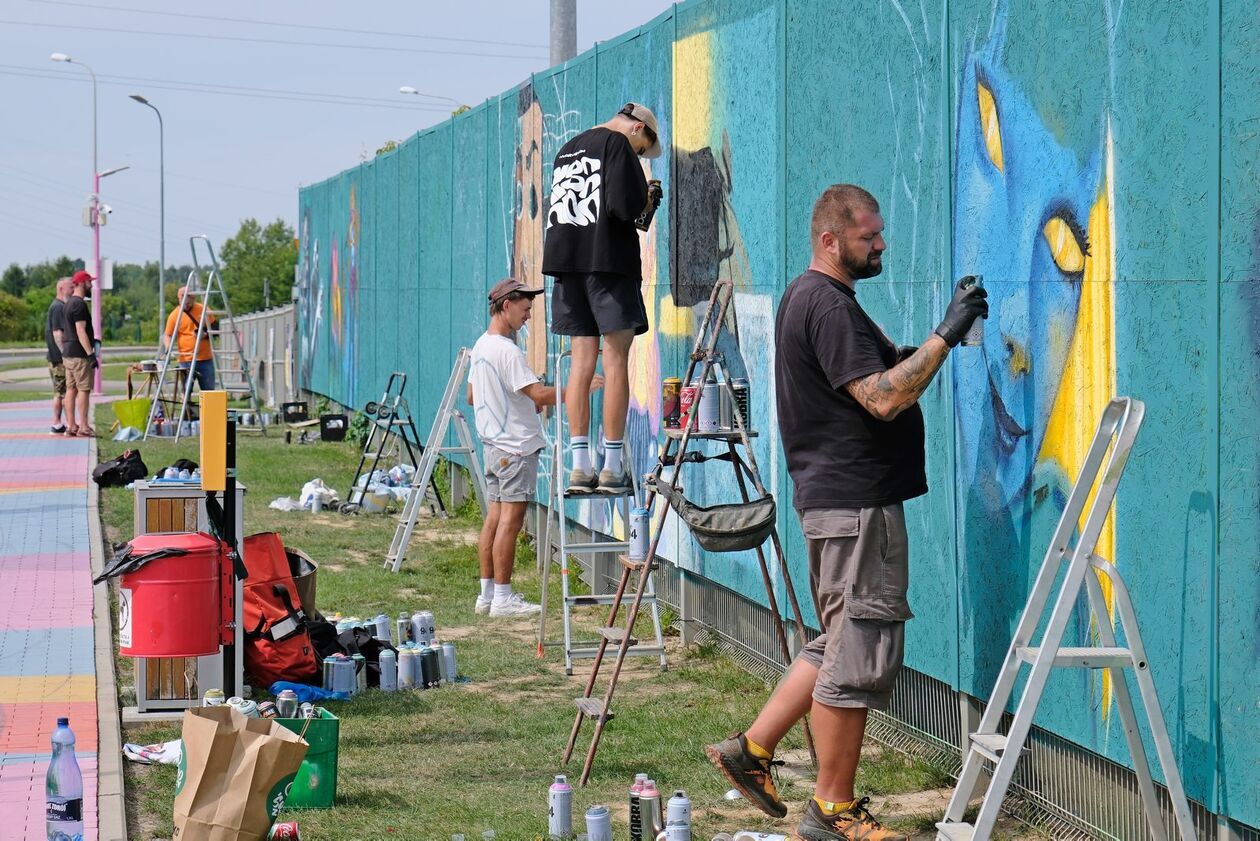  Meeting of Styles w Lublinie (zdjęcie 29) - Autor: DW