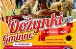 Dożynki w regionie (zdjęcie 3)