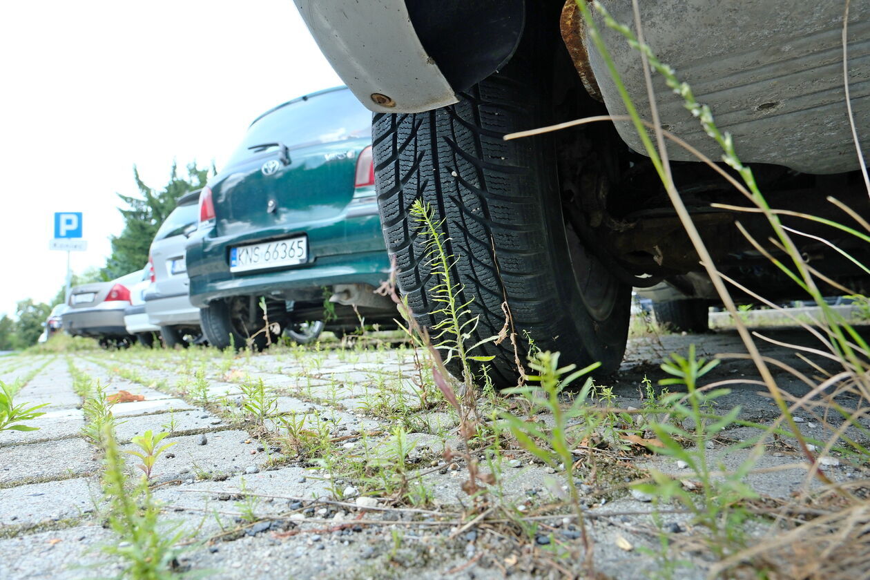 Parking przy ulicy Borelowskiego - Autor: DW