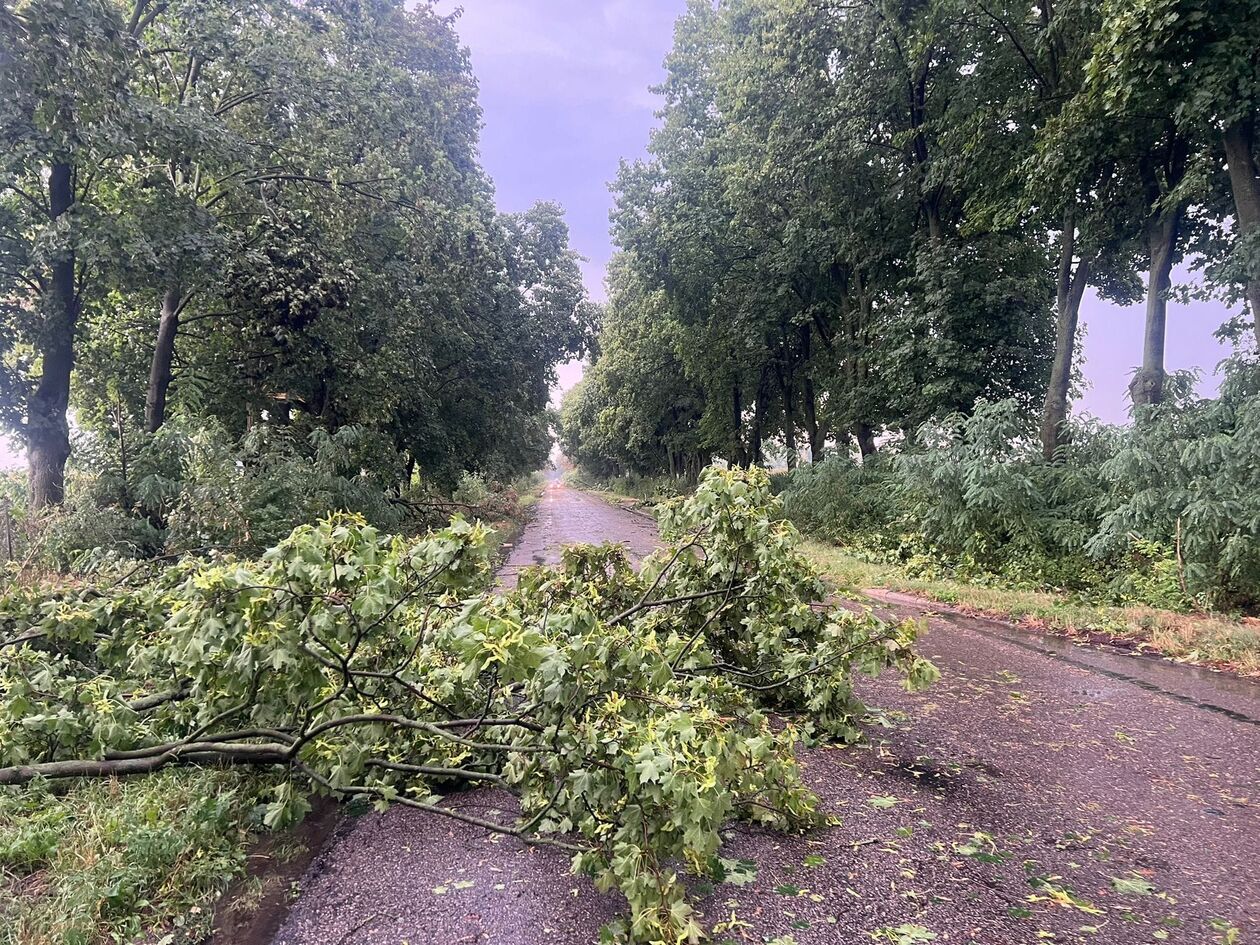  Nawałnice na Lubelszczyźnie (zdjęcie 1) - Autor: OSP Przytoczno