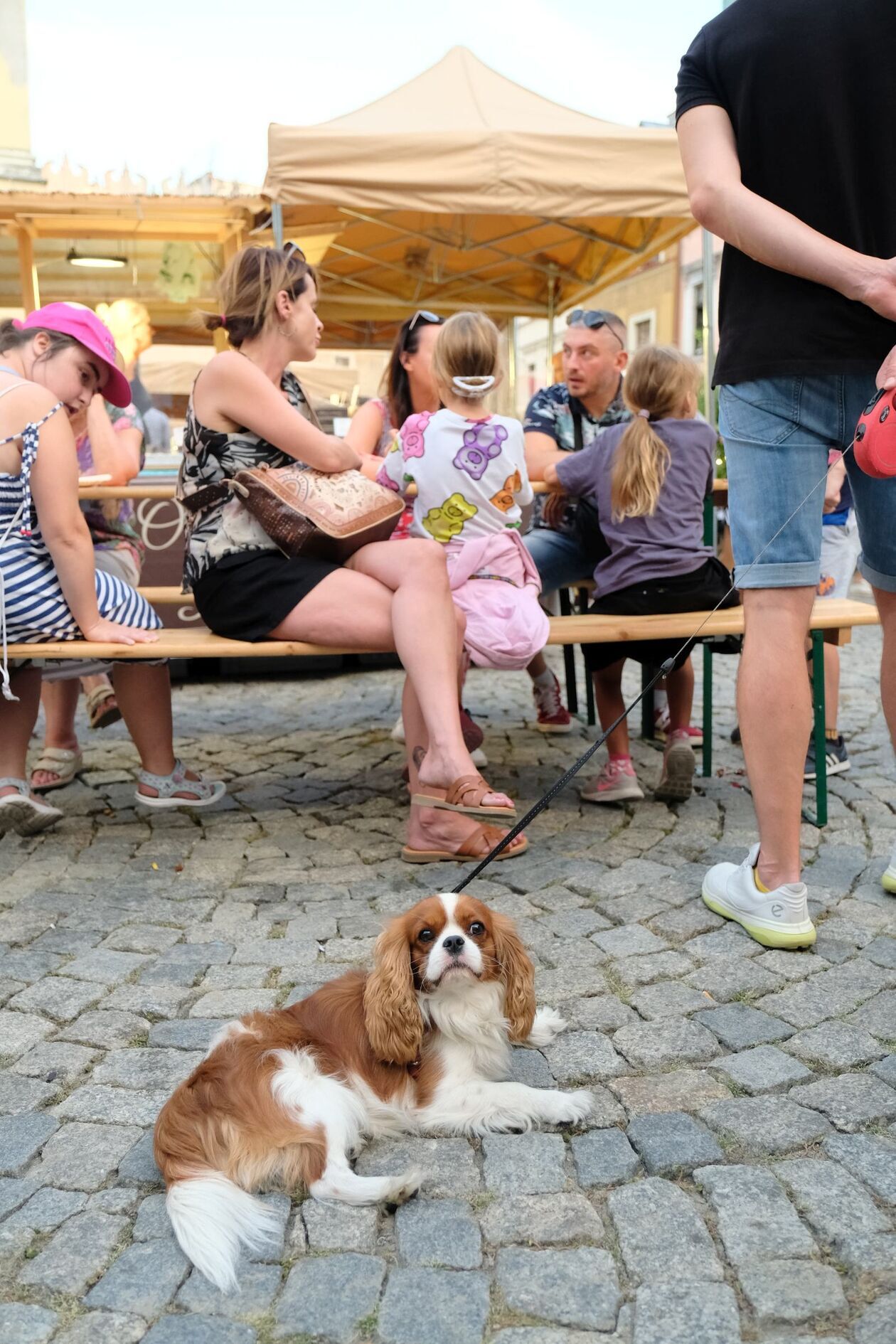  Kolacja z królem czyli degustacja podczas Europejskiego Festiwalu Smaku (zdjęcie 38) - Autor: DW