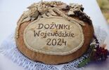 Dożynki Wojewódzkie 2024 w Radawcu Dużym (zdjęcie 2)