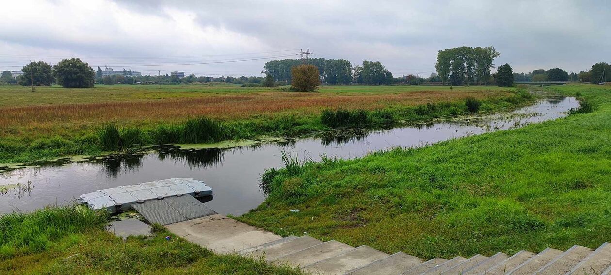  Stanica i teren nad Krzną w Białej Podlaskiej (zdjęcie 5) - Autor: Ewelina Burda