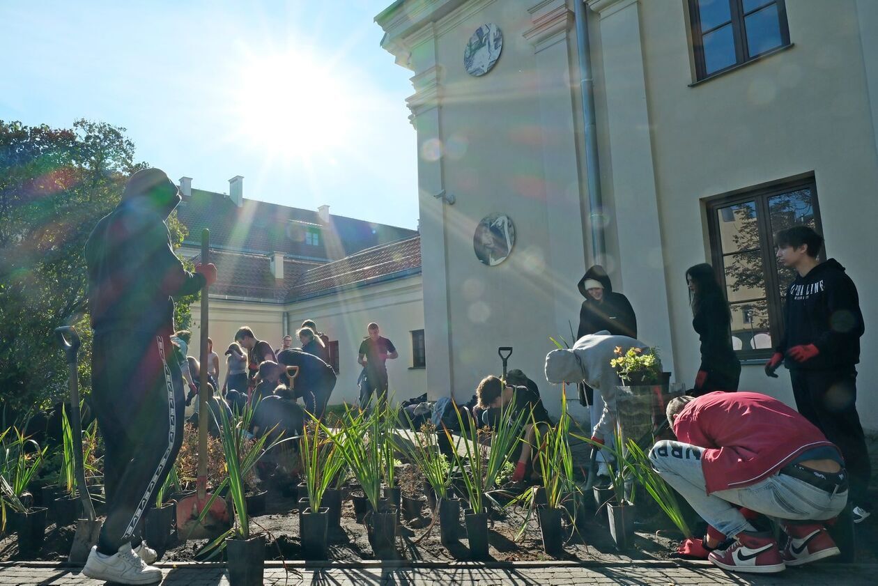  Przy Centrum Kultury powstał 6 miejski ogród deszczowy (zdjęcie 5) - Autor: DW