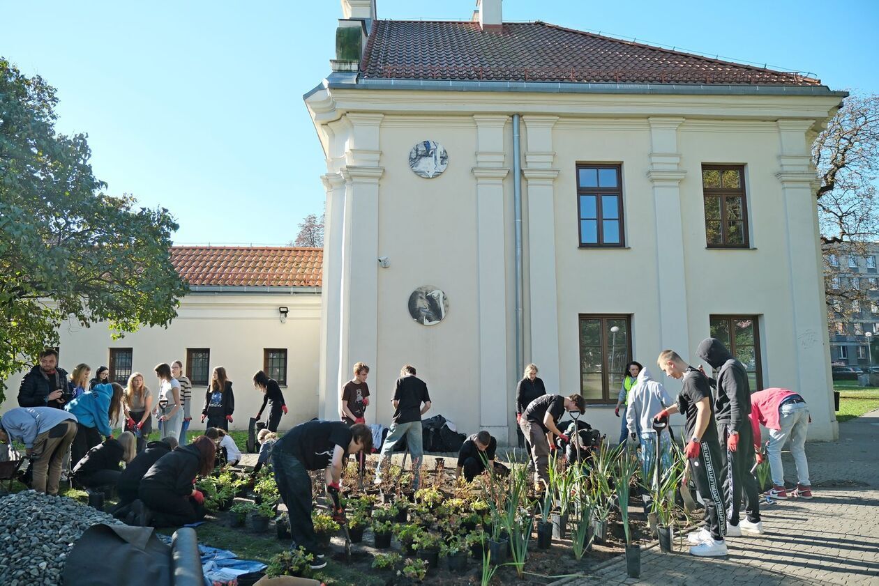  Przy Centrum Kultury powstał 6 miejski ogród deszczowy (zdjęcie 7) - Autor: DW