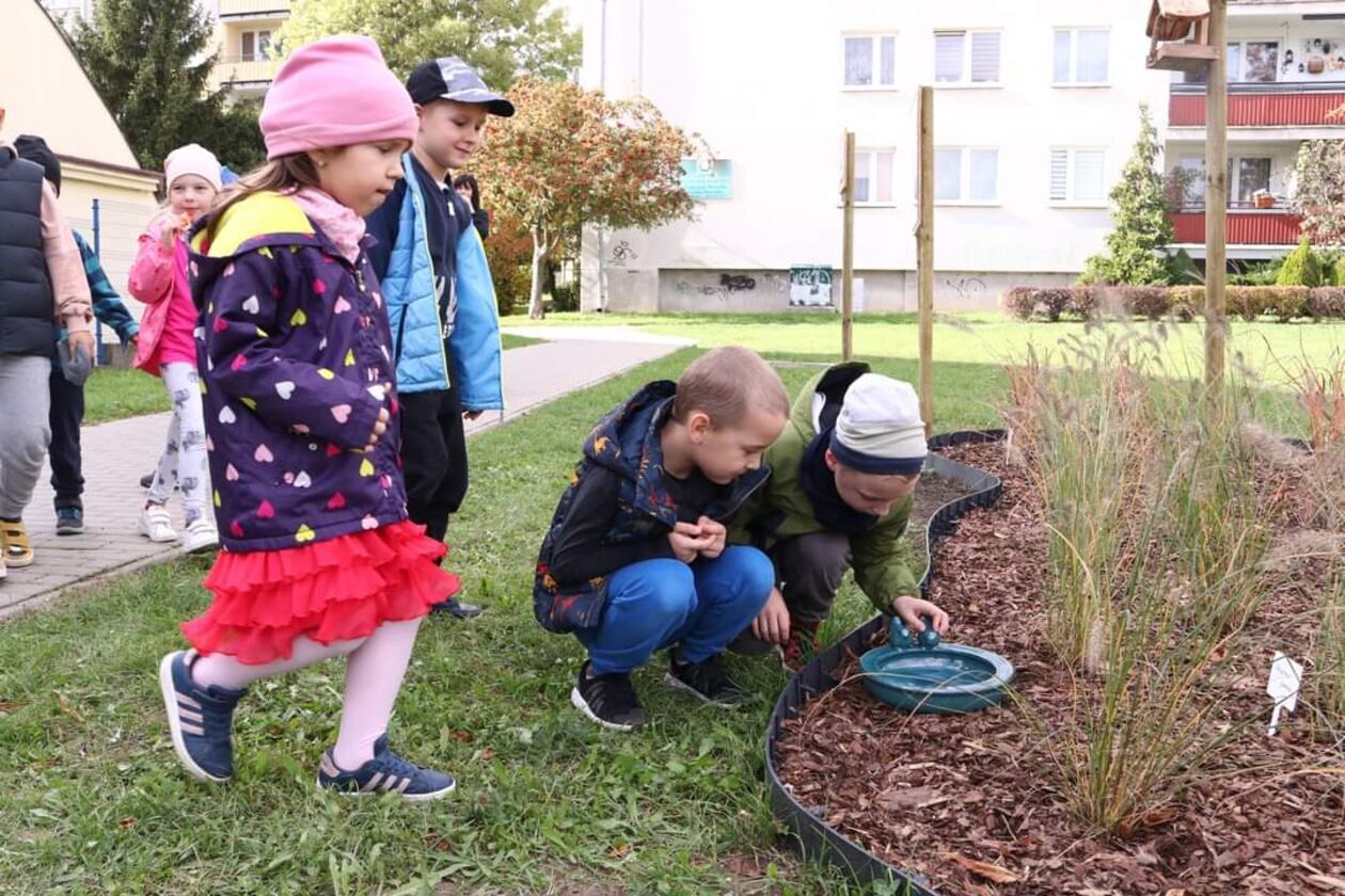  Ogród sensoryczny w Świdniku  - Autor: nadesłane/ Edyta Socha