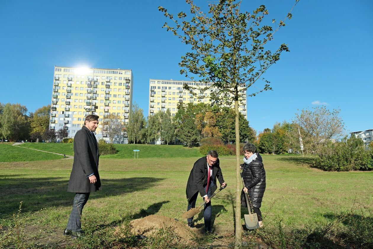  Odsłonięcie tablicy pamiątkowej urbanisty Romualda Dylewskiego (zdjęcie 11) - Autor: DW