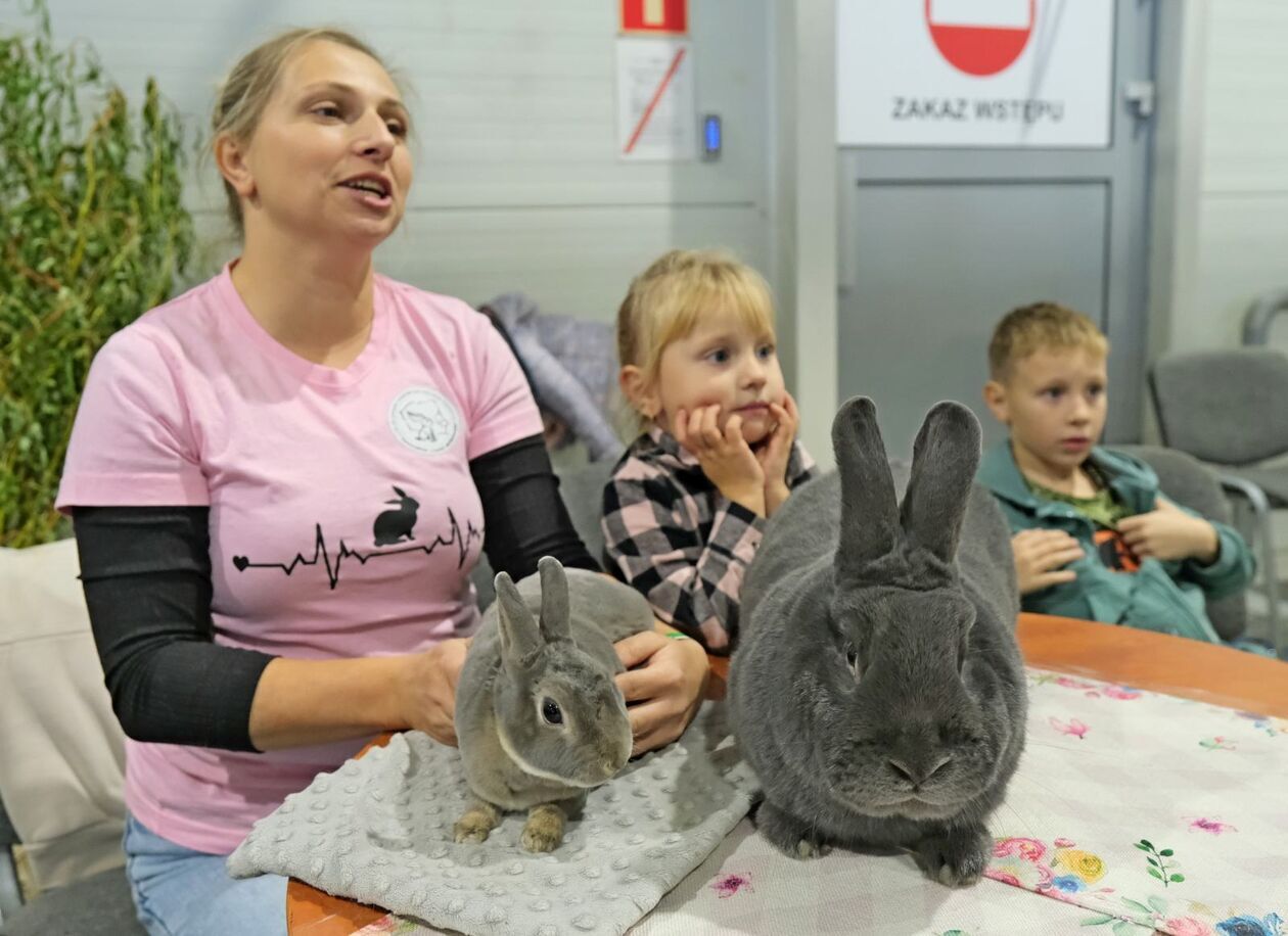  ZOOpark w Targach Lublin (zdjęcie 20) - Autor: DW