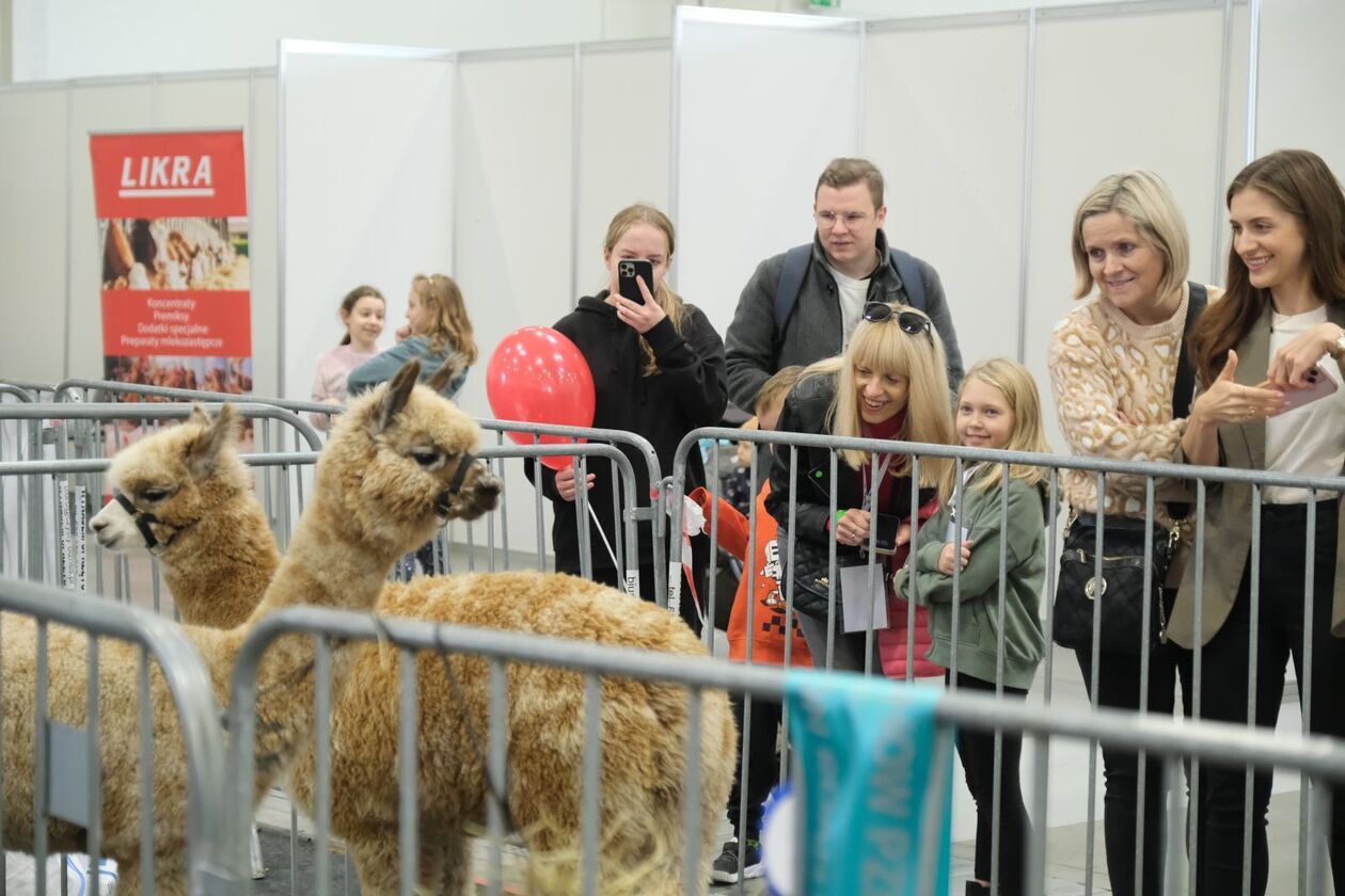  ZOOpark w Targach Lublin (zdjęcie 46) - Autor: DW