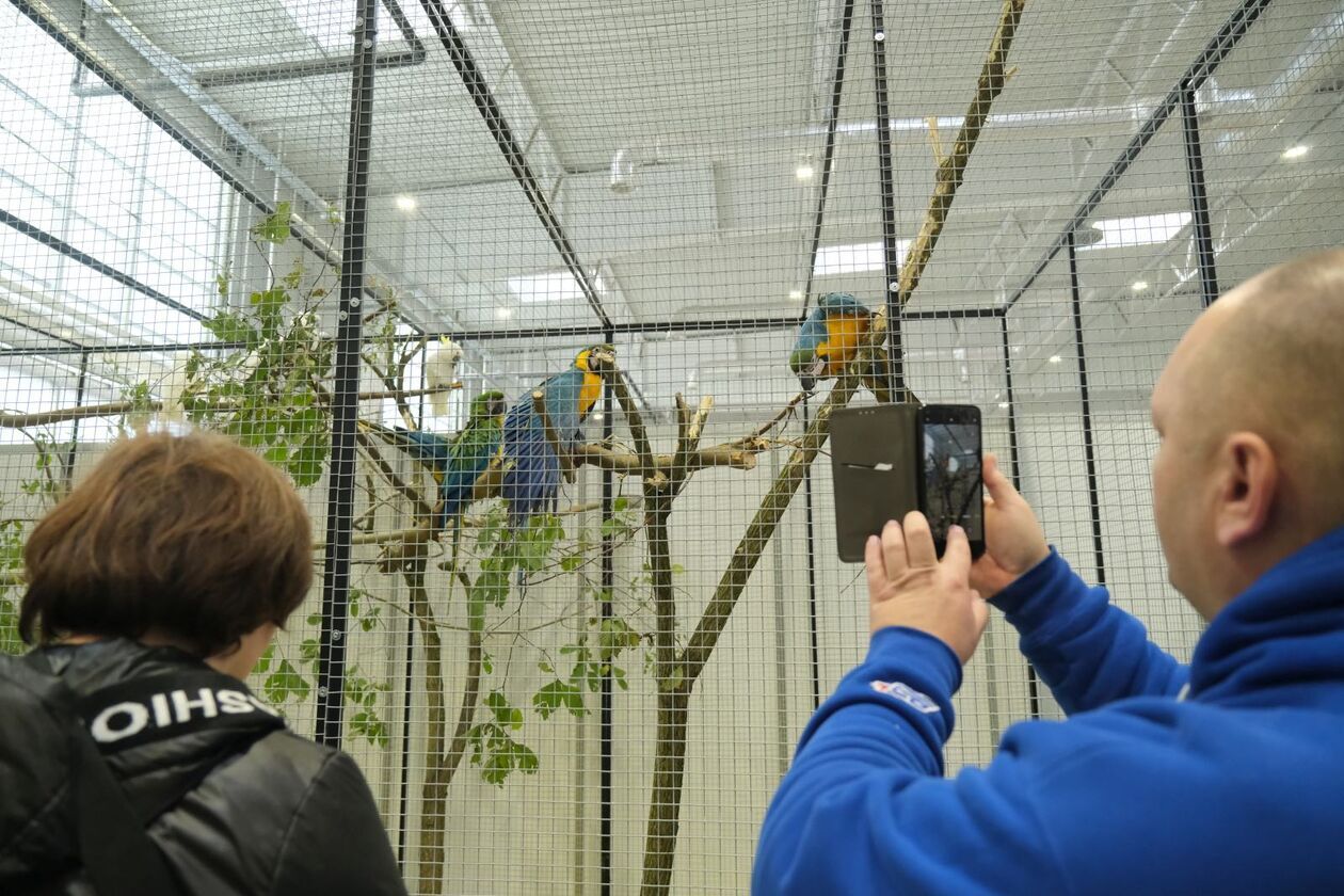  ZOOpark w Targach Lublin (zdjęcie 32) - Autor: DW