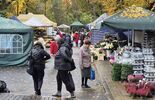 Przygotowania do Wszystkich Świętych na lubelskin cmentarzu przy ul. Lipowej (zdjęcie 4)