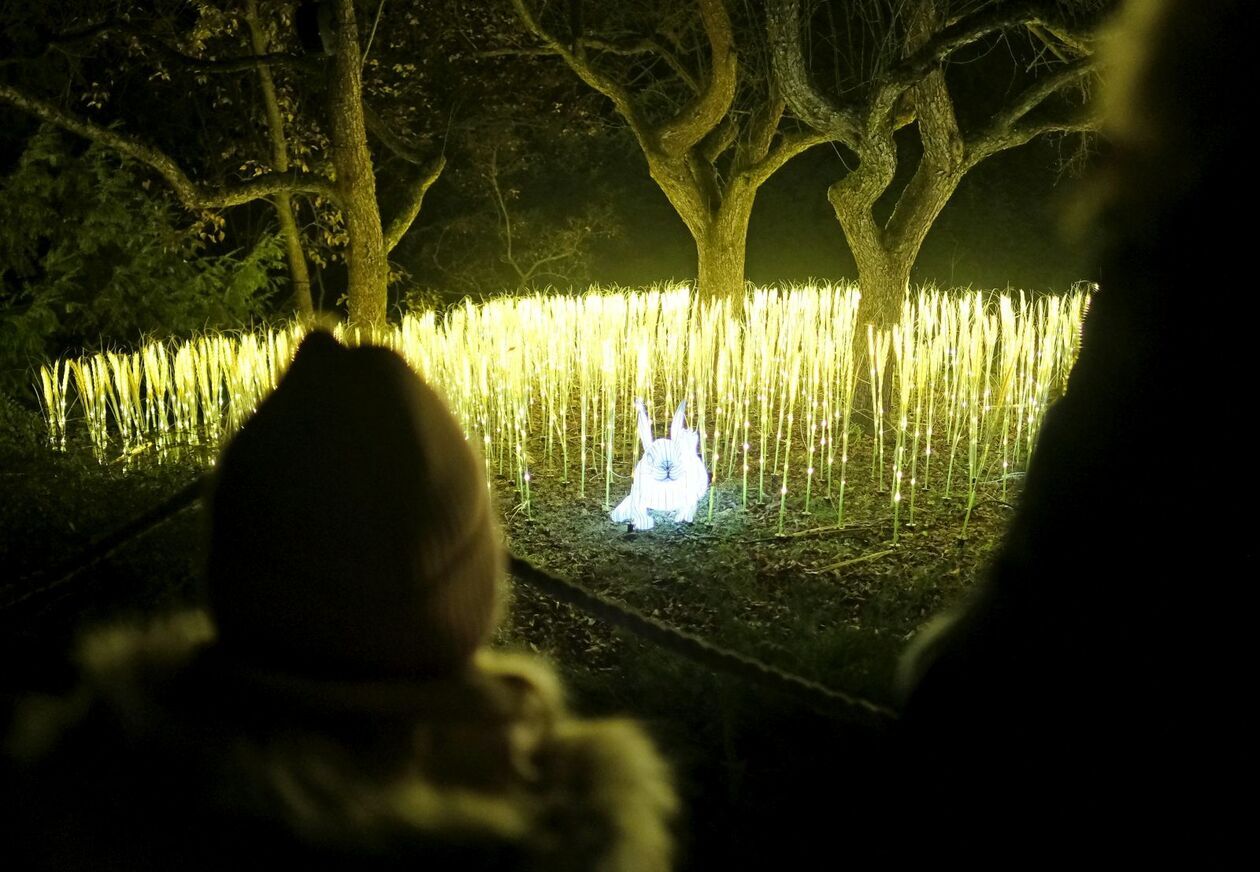  Lumina Park znowu zabłysła w Ogrodzie Botanicznym UMCS   (zdjęcie 27) - Autor: DW