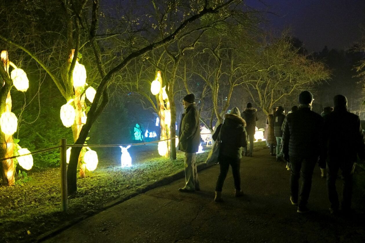  Lumina Park znowu zabłysła w Ogrodzie Botanicznym UMCS   (zdjęcie 25) - Autor: DW