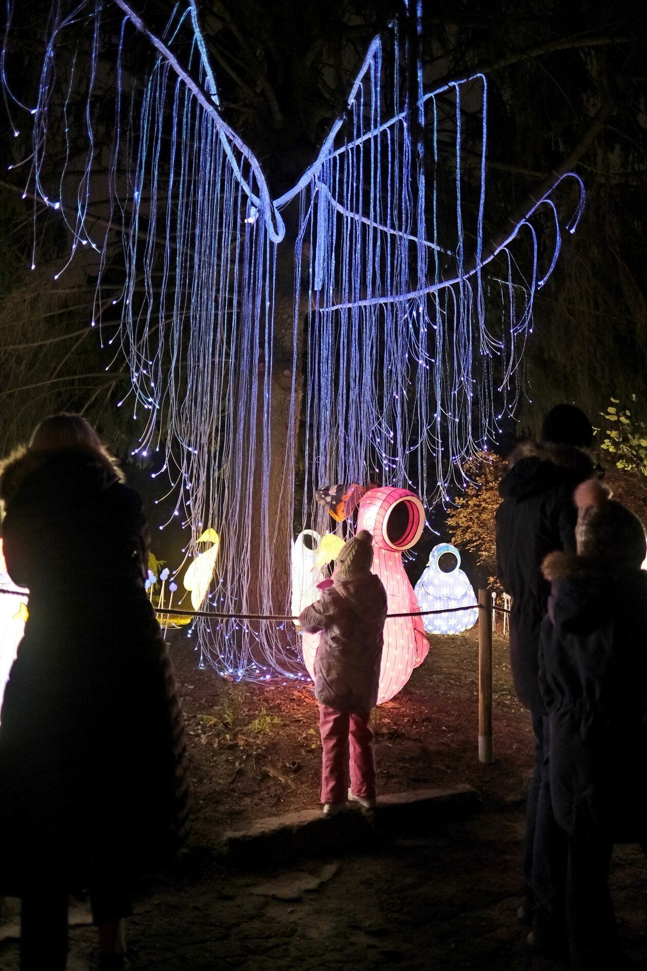  Lumina Park znowu zabłysła w Ogrodzie Botanicznym UMCS   (zdjęcie 9) - Autor: DW