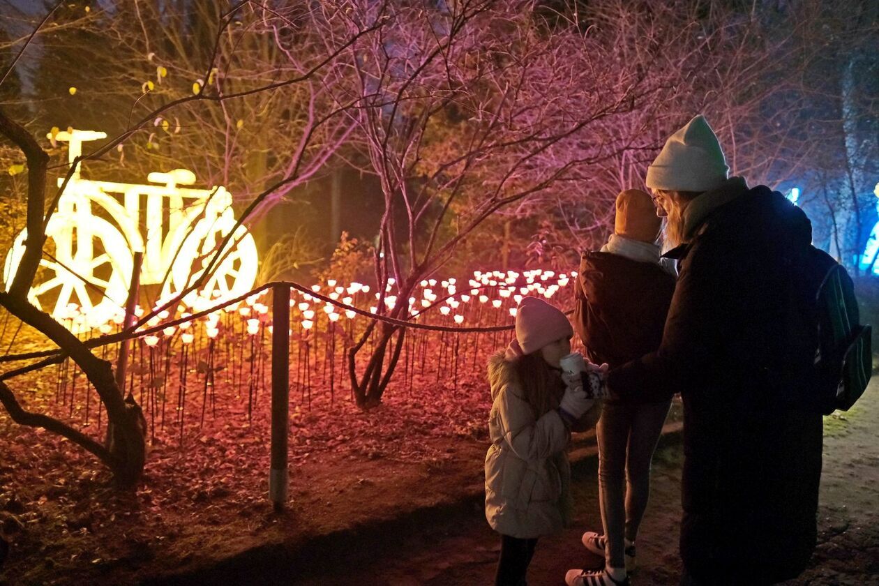  Lumina Park znowu zabłysła w Ogrodzie Botanicznym UMCS   (zdjęcie 7) - Autor: DW