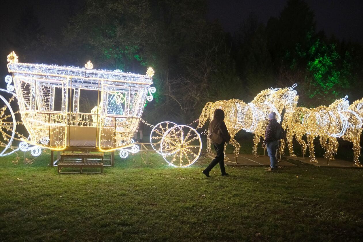 Lumina Park znowu zabłysła w Ogrodzie Botanicznym UMCS  