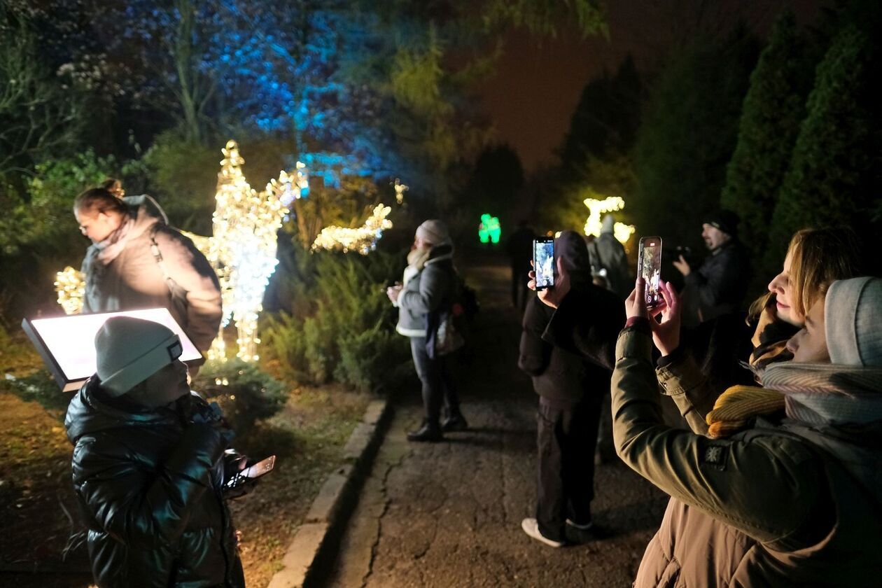  Lumina Park znowu zabłysła w Ogrodzie Botanicznym UMCS   (zdjęcie 20) - Autor: DW