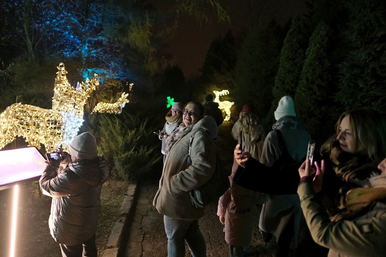  Lumina Park znowu zabłysła w Ogrodzie Botanicznym UMCS   (zdjęcie 19) - Autor: DW