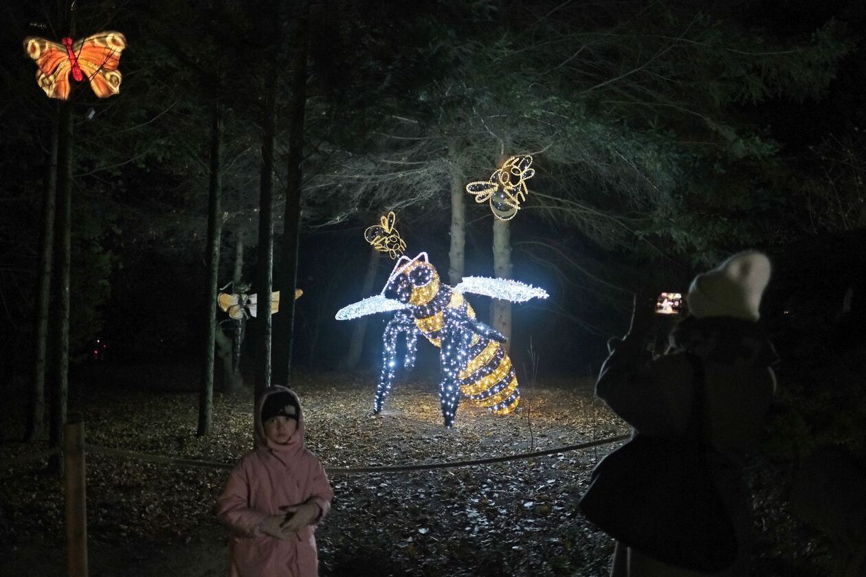  Lumina Park znowu zabłysła w Ogrodzie Botanicznym UMCS   (zdjęcie 17) - Autor: DW