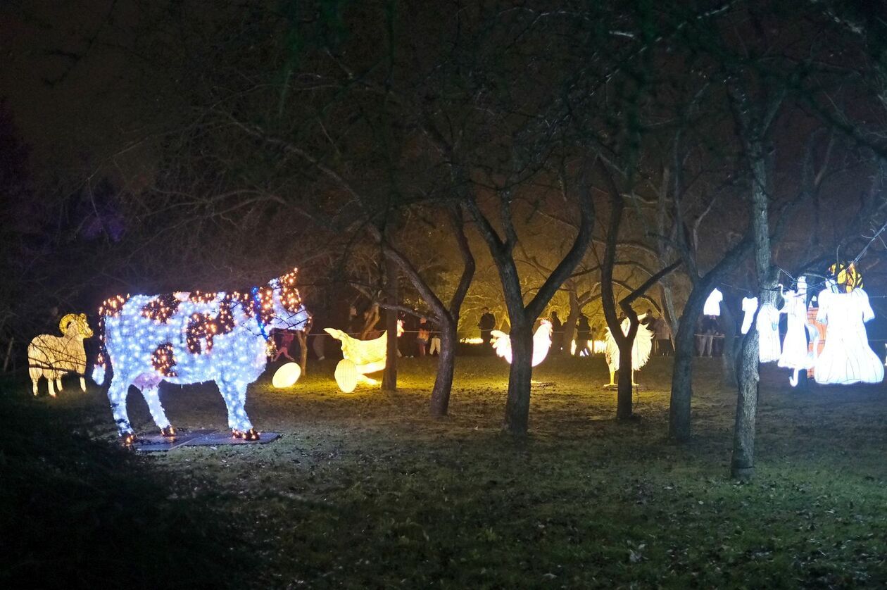  Lumina Park znowu zabłysła w Ogrodzie Botanicznym UMCS   (zdjęcie 36) - Autor: DW