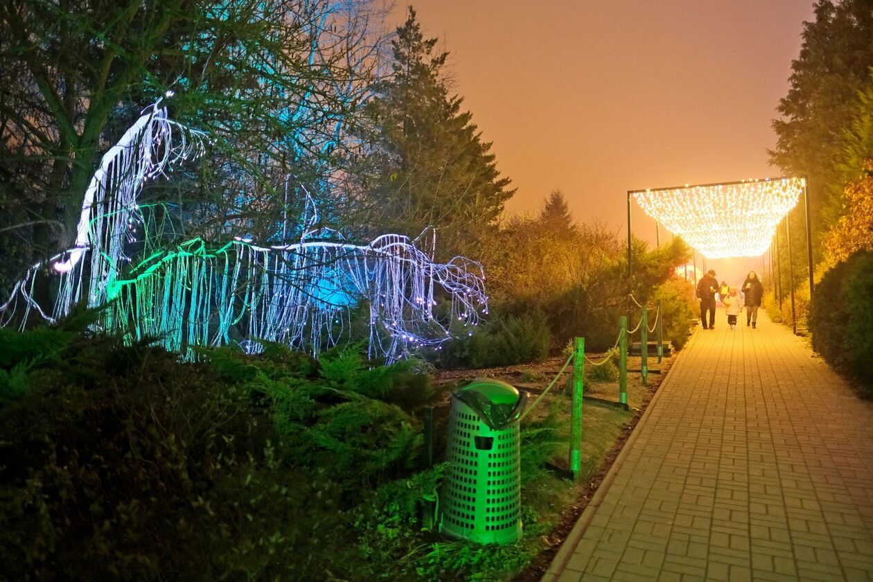  Lumina Park znowu zabłysła w Ogrodzie Botanicznym UMCS   (zdjęcie 5) - Autor: DW