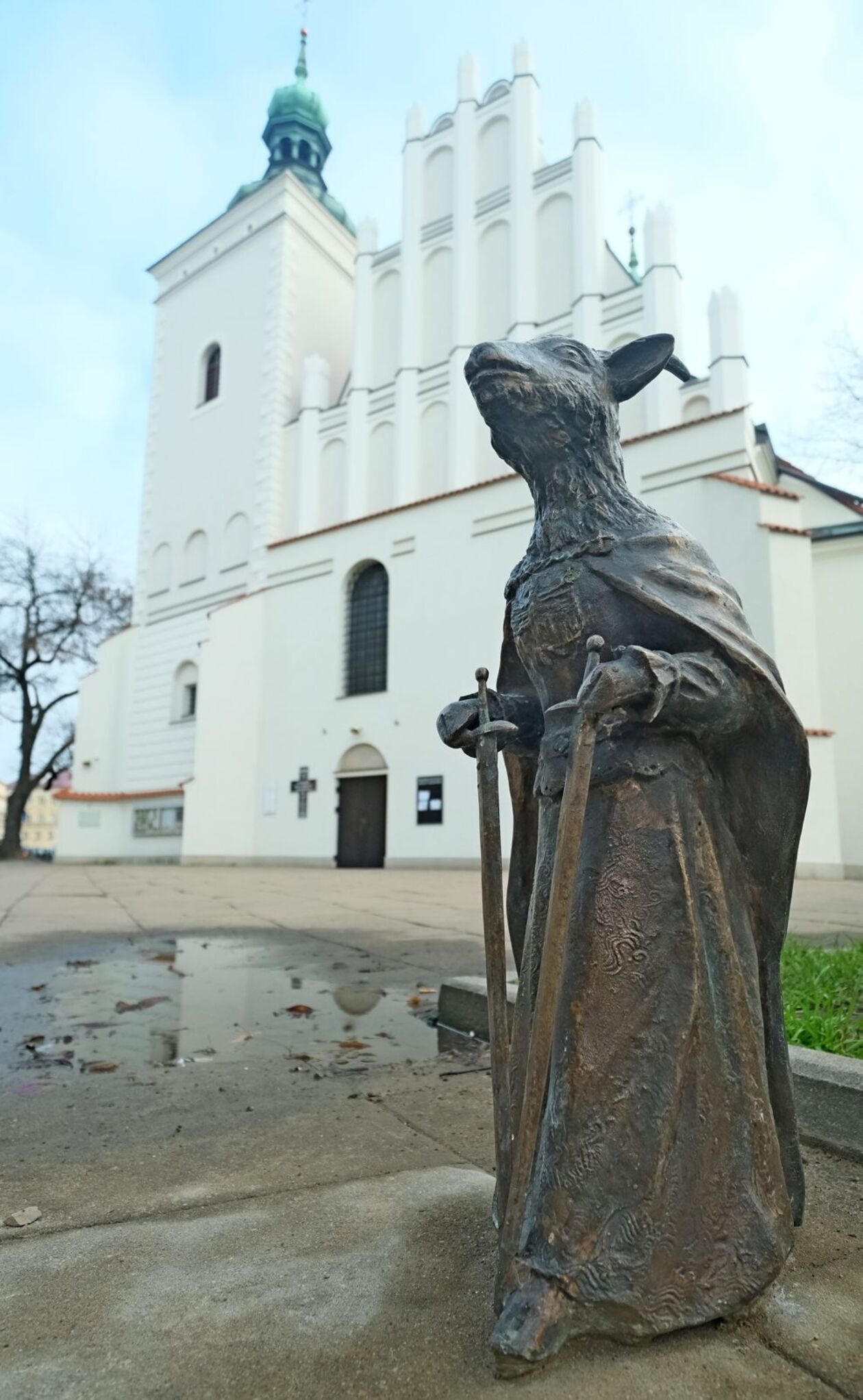  Powstał nowy szlak koziołkowy (zdjęcie 13) - Autor: DW