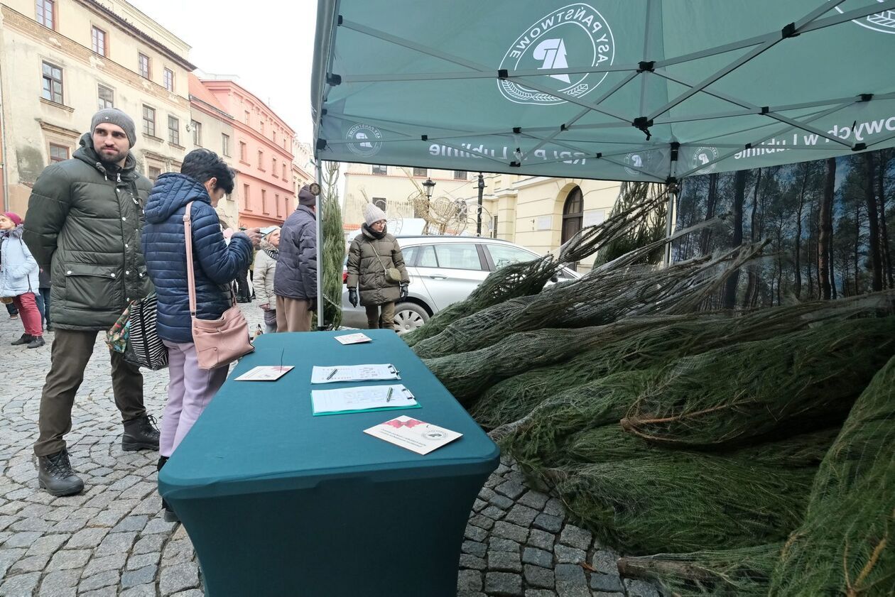  Jarmark bożonarodzeniowy na rynku Starego Miasta w Lublinie (zdjęcie 3) - Autor: DW