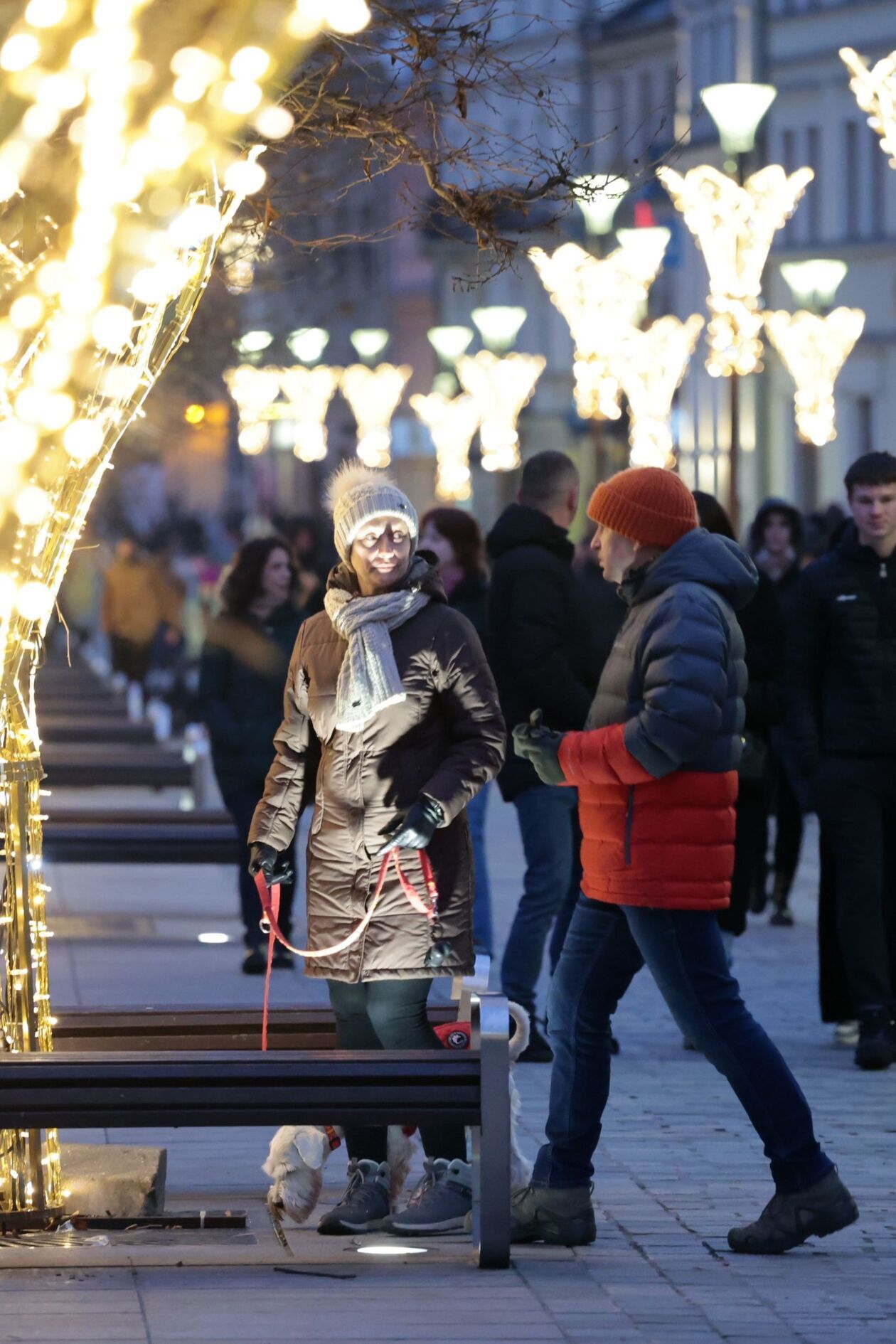  Warto wybrać się na świąteczny spacer (zdjęcie 22) - Autor: DW