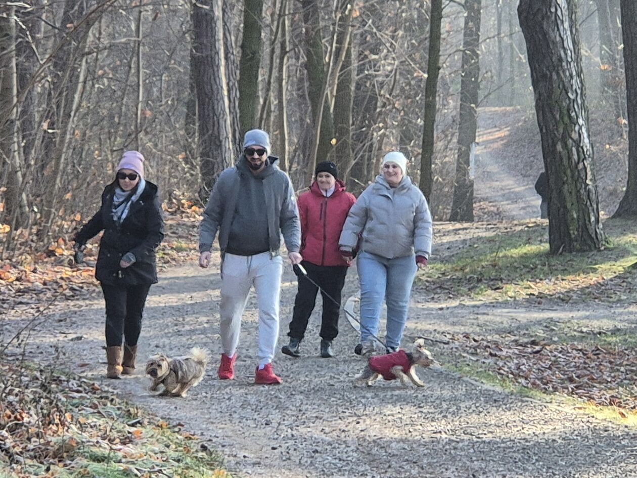  Świąteczny spacer w Dąbrowie nad Zalewem Zemborzyckim (zdjęcie 3) - Autor: DW 