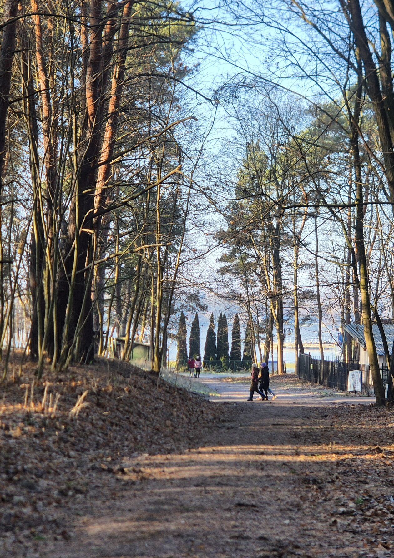  Świąteczny spacer w Dąbrowie nad Zalewem Zemborzyckim (zdjęcie 16) - Autor: DW 