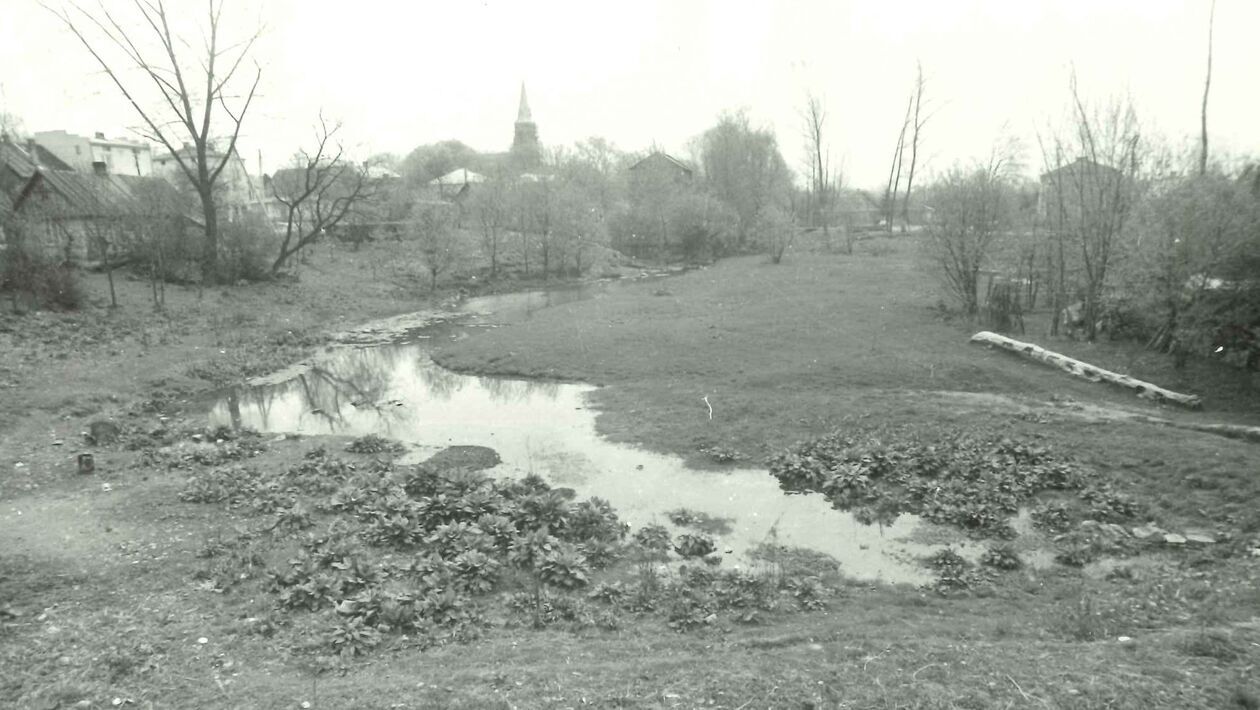  <p>Wysokie, widok na łąki nadrzeczne, kości&oacute;ł i młyn od strony południowej, fot. Przemysław Maliszewski, 1989 r.</p>