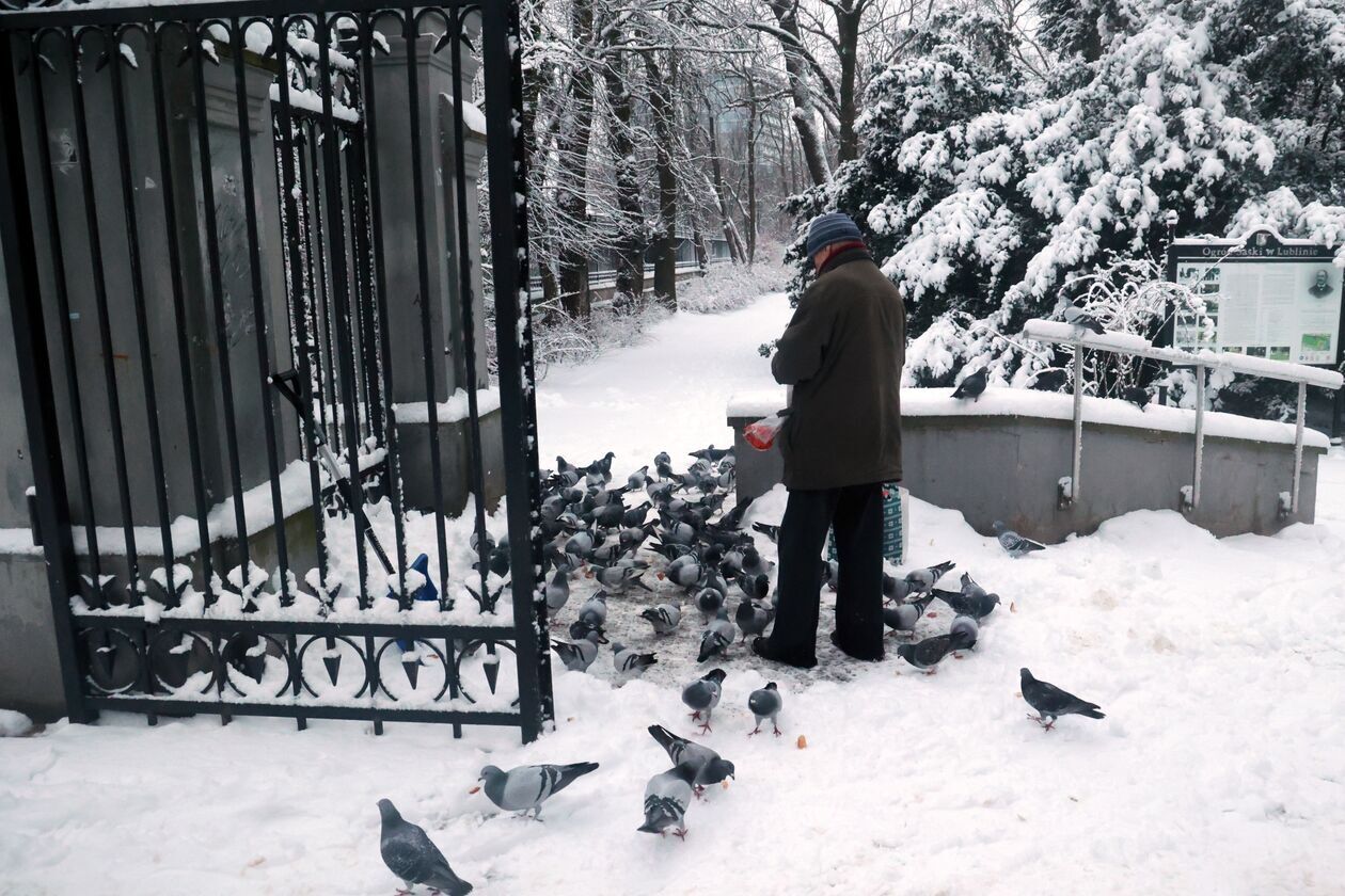  Zima nie zaskoczyła drogowców ale na niektórych chodnikach i ścieżkach rowerowych zalega śnieg (zdjęcie 23) - Autor: DW