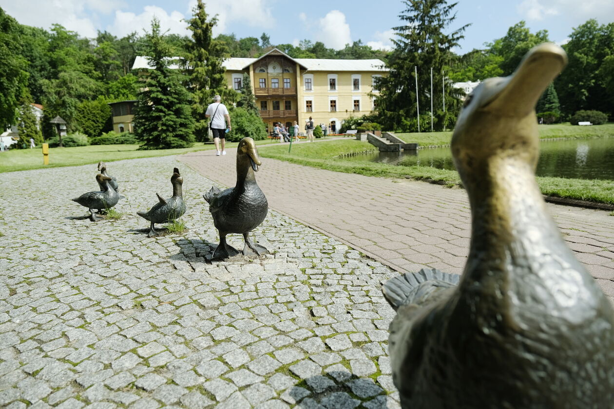  <p>Urokliwe miasteczko zaledwie kilkanaście kilometr&oacute;w od Lublina zaprasza na romantyczny spacer po parku uzdrowiskowym. Czeka tam wiele miejsc do odkrycia</p>