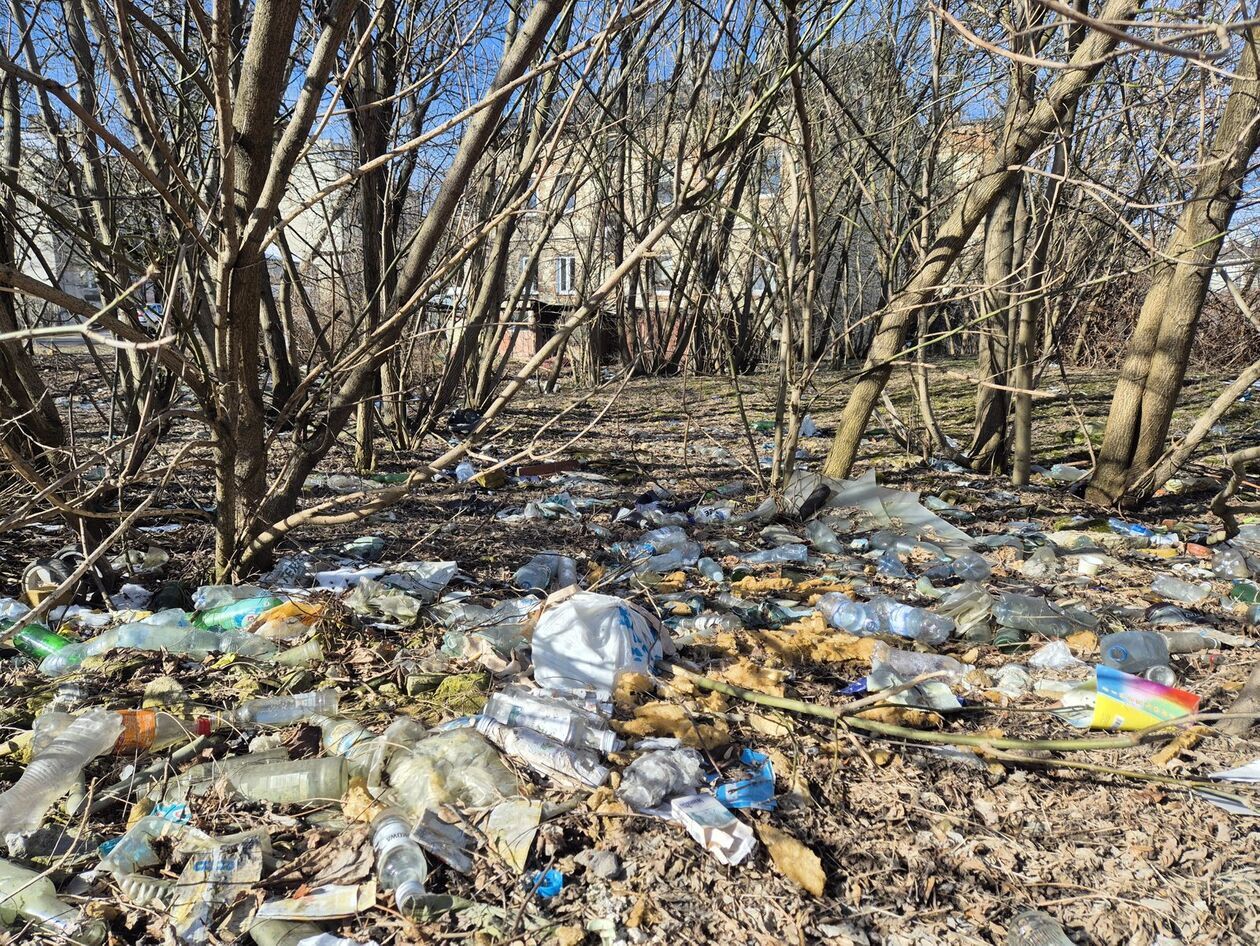  Śmietnisko nad Czerniejówką (zdjęcie 16) - Autor: DW