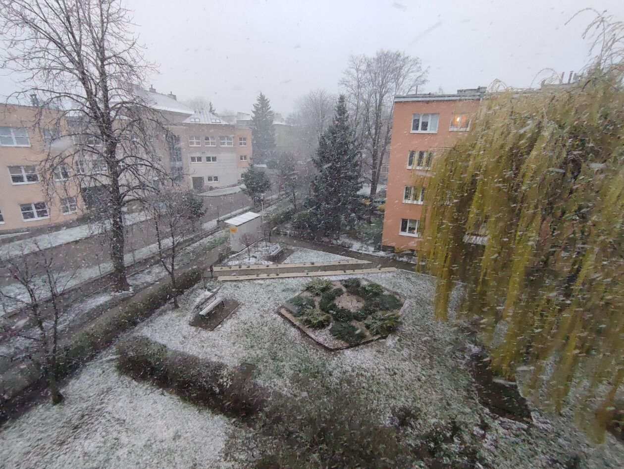  Opday śniegu w Lublinie (zdjęcie 4) - Autor: DW