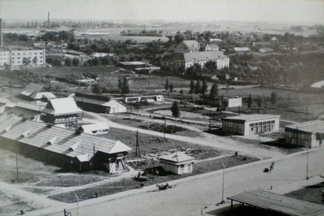  <p>Widok z Zamku na Kalinowszczyznę.</p>