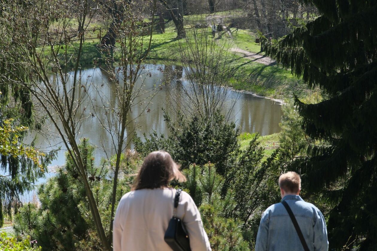  Ogród Botaniczny UMCS otwarty dla zwiedzajacych (zdjęcie 18) - Autor: DW